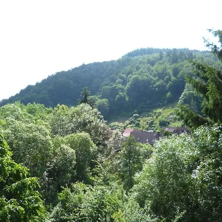 On The Mountain Stream Lejlighed *